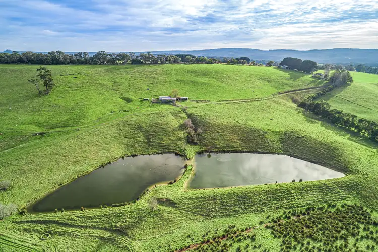 Seventh view of Homely rural property listing, Lots 1 & 2, 195 Moomowroong Road, Carlisle River VIC 3239