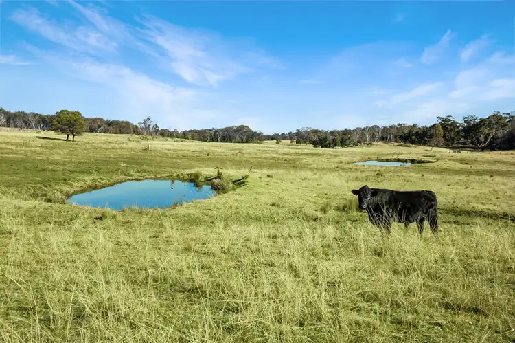 Second view of Homely rural property listing, 221 Gum Flat Road, Tenterfield NSW 2372
