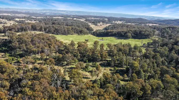 Fourth view of Homely rural property listing, 221 Gum Flat Road, Tenterfield NSW 2372