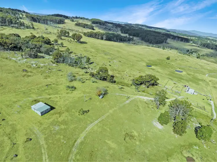 Fifth view of Homely rural property listing, 221 Gum Flat Road, Tenterfield NSW 2372