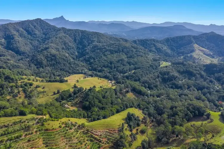 Sixth view of Homely rural property listing, 781 Upper Burringbar Rd, Upper Burringbar NSW 2483