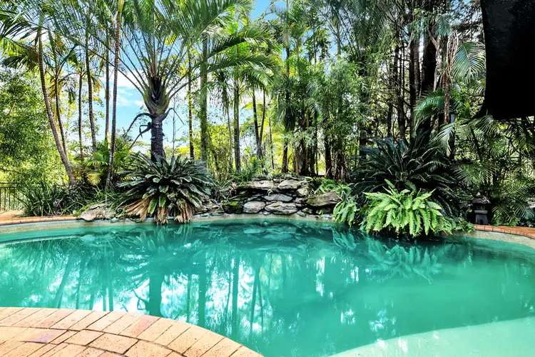 528 Kalang Road, Bellingen NSW 2454