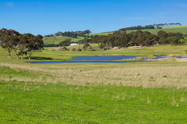 Sixth view of Homely rural property listing, 90 Walter Road, Barrabool VIC 3221