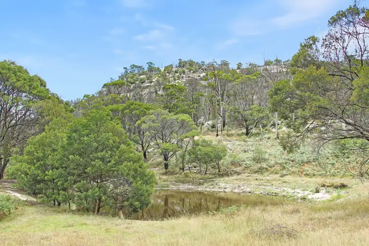 Fifth view of Homely rural property listing, 14 Kildare Road, Tenterfield NSW 2372
