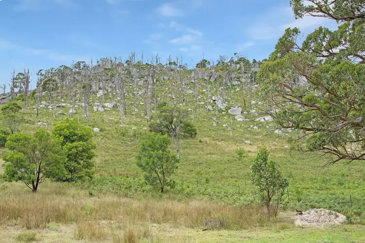 Sixth view of Homely rural property listing, 14 Kildare Road, Tenterfield NSW 2372