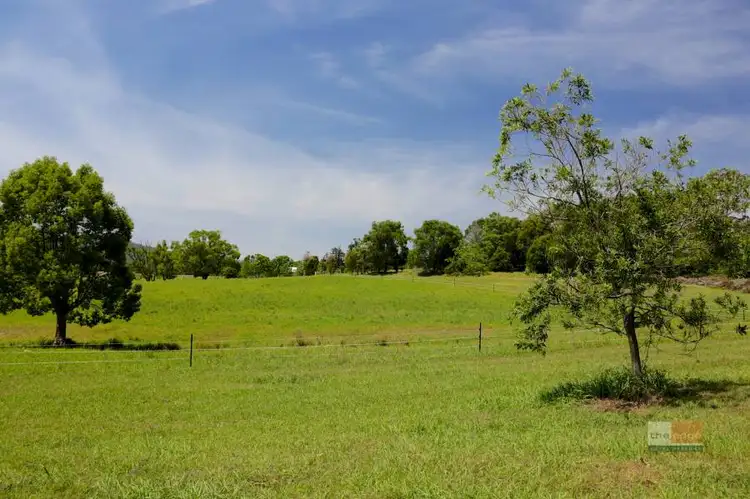 Seventh view of Homely rural property listing, 668 Orara Way, Nana Glen NSW 2450