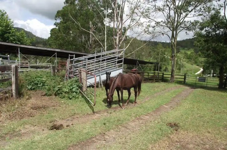 Third view of Homely rural property listing, 23 Newtons Rd, Kyogle NSW 2474