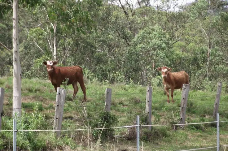 Fourth view of Homely rural property listing, 23 Newtons Rd, Kyogle NSW 2474