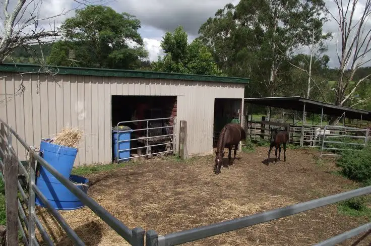 Sixth view of Homely rural property listing, 23 Newtons Rd, Kyogle NSW 2474