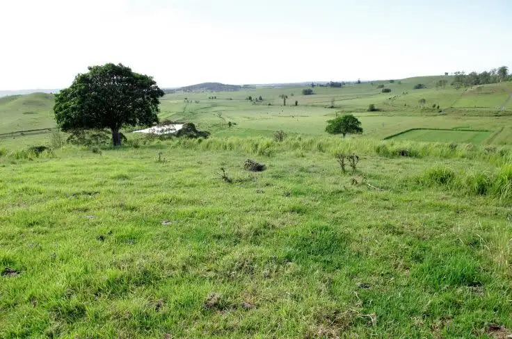 Main view of Homely rural property listing, Address available on request