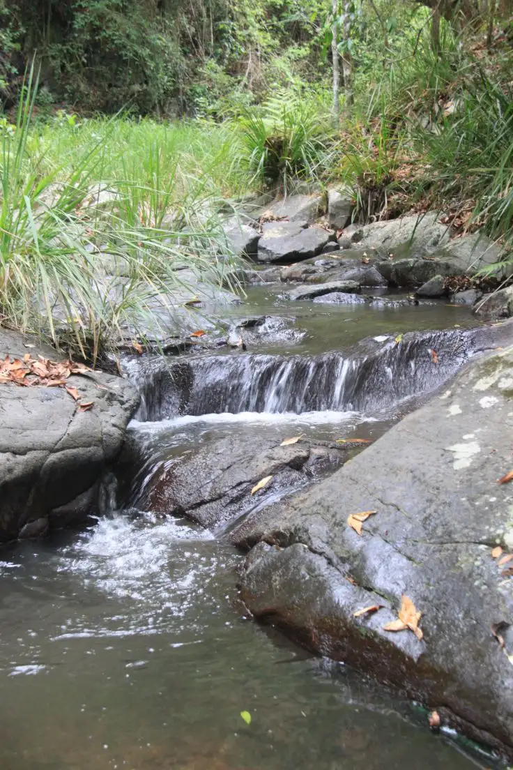 Third view of Homely rural property listing, 153 Stringybark Lane, Kyogle NSW 2474