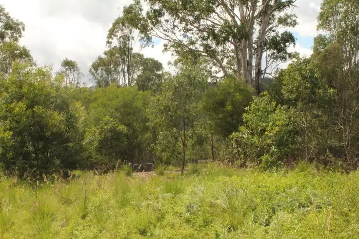 Fifth view of Homely rural property listing, 153 Stringybark Lane, Kyogle NSW 2474