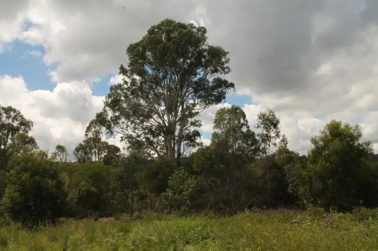 Sixth view of Homely rural property listing, 153 Stringybark Lane, Kyogle NSW 2474