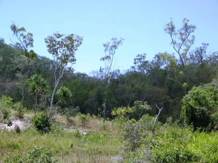 LOT 24 HAYMAN DRIVE, Bloomsbury QLD 4799