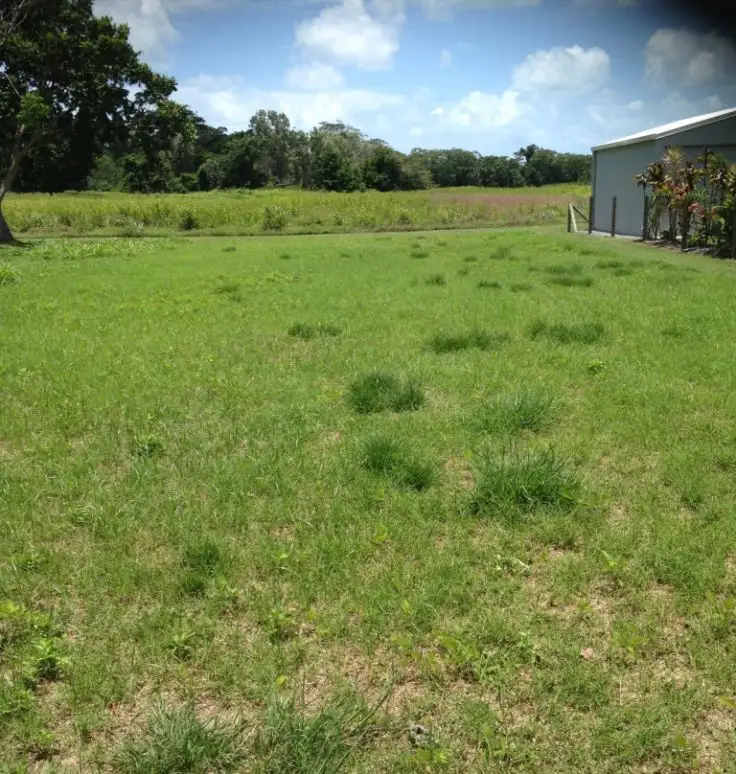 45 Bundesen Ave, Midge Point QLD 4799