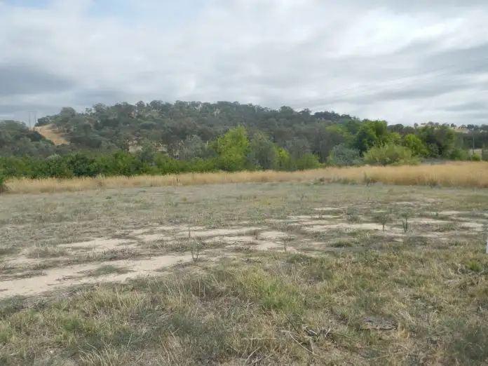 Main view of Homely land listing, 109 Greta Drive, Hamilton Valley NSW 2641