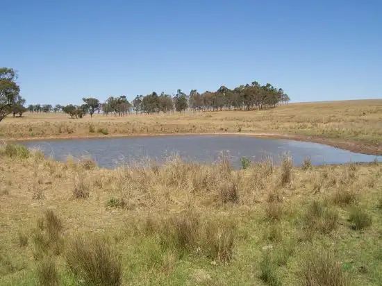 Seventh view of Homely land listing, . Gundy Road, Scone NSW 2337