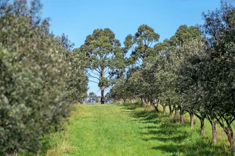 Fifth view of Homely rural property listing, 662-740 Murradoc Road, St Leonards VIC 3223