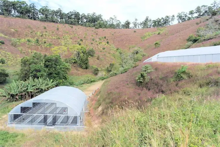 Main view of Homely rural property listing, Lot 4 Newmans Road, Woolgoolga NSW 2456