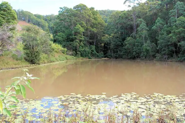 Second view of Homely rural property listing, Lot 4 Newmans Road, Woolgoolga NSW 2456