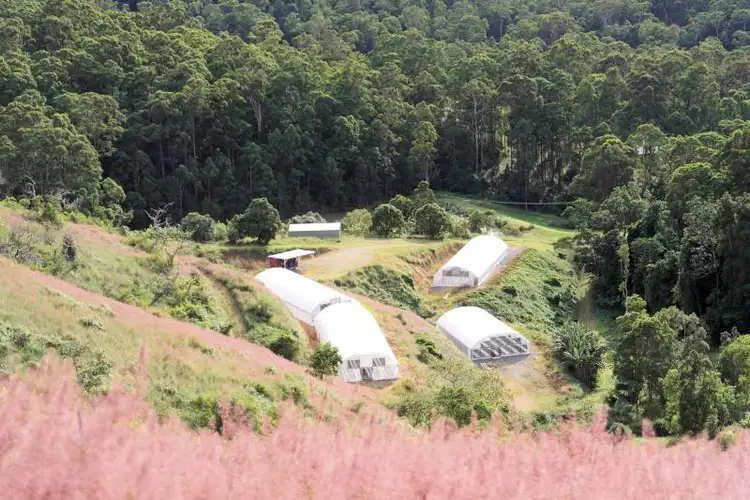 Fifth view of Homely rural property listing, Lot 4 Newmans Road, Woolgoolga NSW 2456