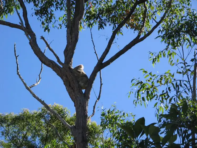 Fifth view of Homely land listing, 139 Berallan Drive, Maryborough QLD 4650