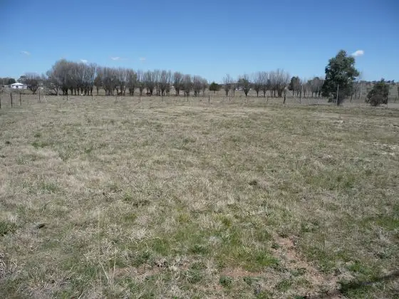 Third view of Homely land listing, Lot 9 and 10 Carl Baer Circuit, Deepwater NSW 2371