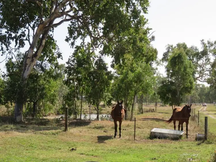 Main view of Homely house listing, 1424 Midge Point Rd, Midge Point QLD 4799