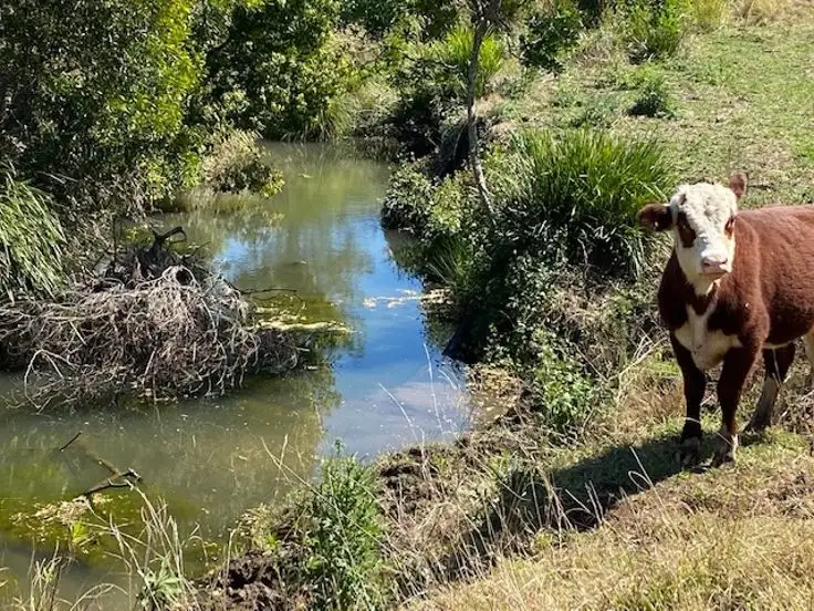 Second view of Homely rural property listing, Lot 2 Old Cob O Corn Road, Kyogle NSW 2474