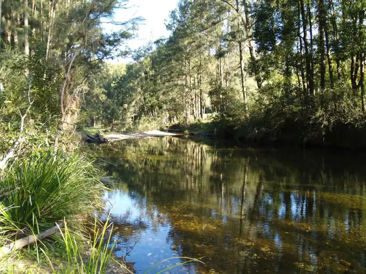 548 Kalang Road, Bellingen NSW 2454