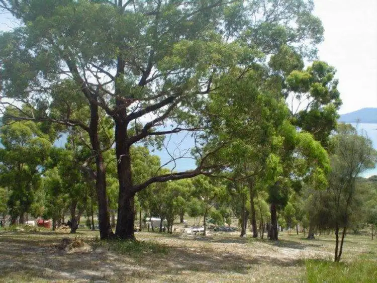 Sixth view of Homely land listing, 159 White Beach Road, White Beach TAS 7184