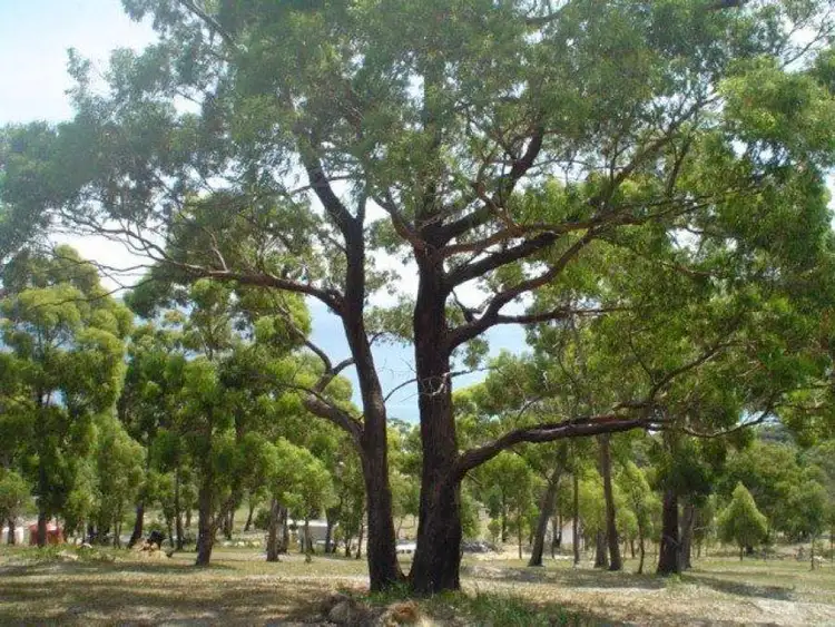 Seventh view of Homely land listing, 159 White Beach Road, White Beach TAS 7184