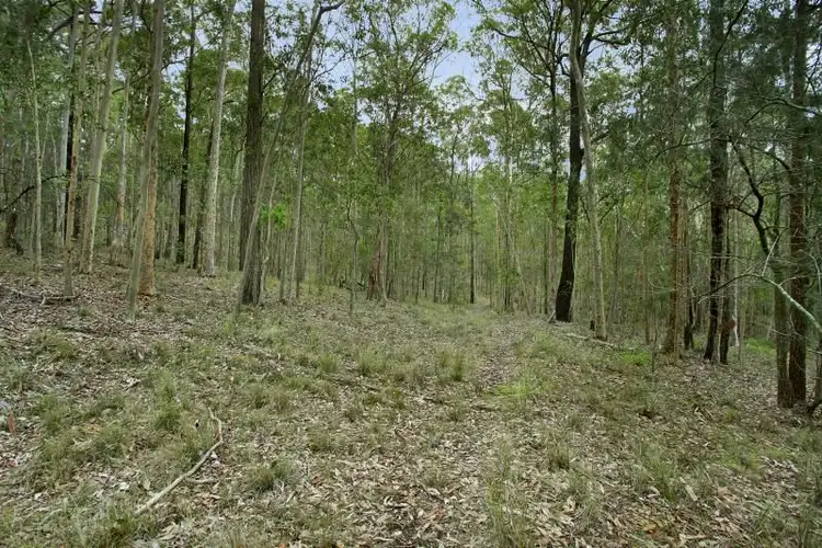 Third view of Homely land listing, Lot 5 Woods Road, Jilliby NSW 2259