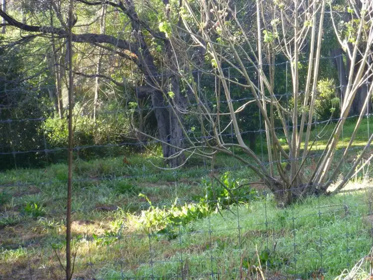 Seventh view of Homely rural property listing, Lot 12 Weir Street, Nana Glen NSW 2450