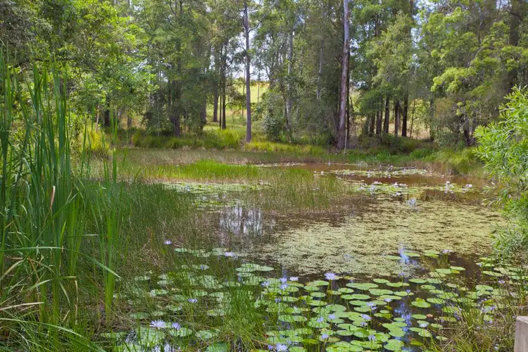 Fourth view of Homely land listing, Lot 10 Berkeley Drive, Bonville NSW 2450