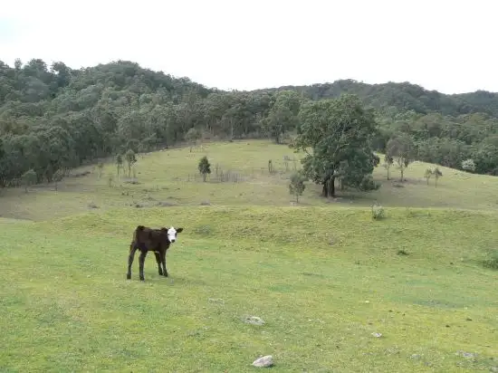 Third view of Homely land listing, Lot 4 Karalee Row, Murrurundi NSW 2338