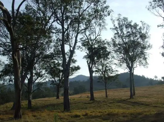 Seventh view of Homely rural property listing, Address available on request