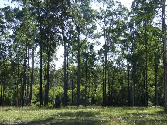 Second view of Homely rural property listing, Address available on request