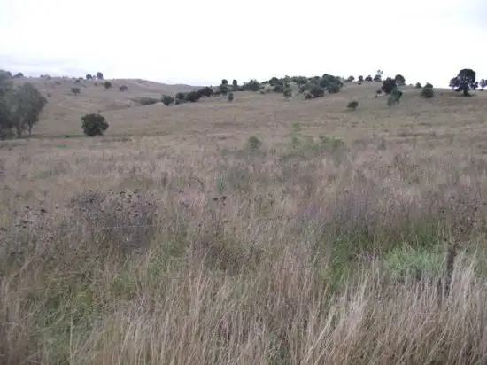 Sixth view of Homely rural property listing, Address available on request