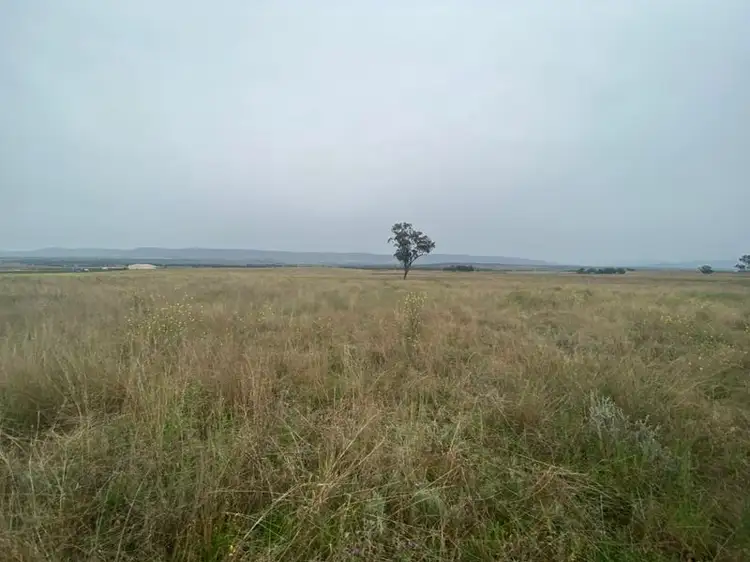 Second view of Homely rural property listing, 115 Milford Hills Lane, Scone NSW 2337