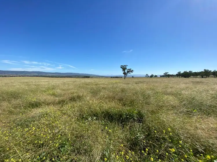 Fifth view of Homely rural property listing, 115 Milford Hills Lane, Scone NSW 2337
