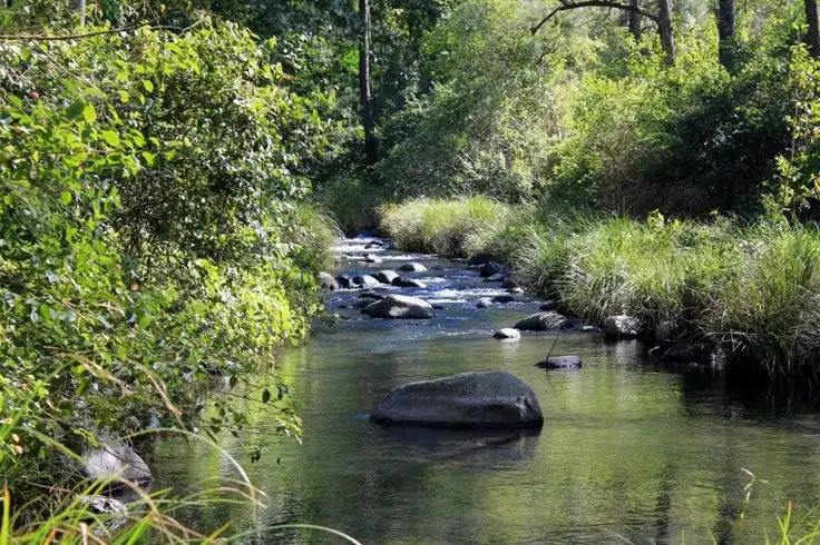 Fourth view of Homely rural property listing, Address available on request