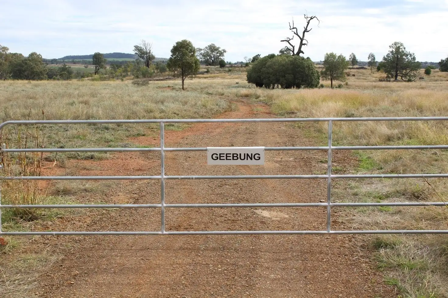Main view of Homely rural property listing, "Geebung" Gwydir Highway, Gravesend NSW 2401