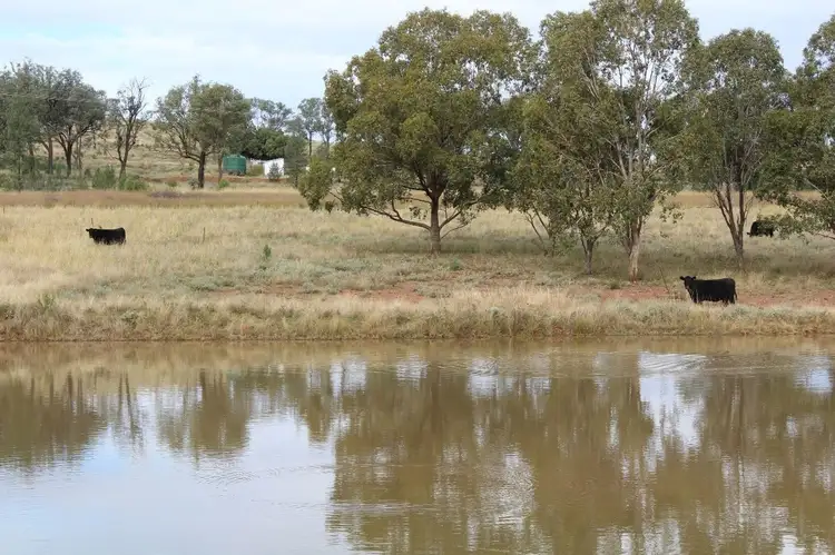 Third view of Homely rural property listing, "Geebung" Gwydir Highway, Gravesend NSW 2401