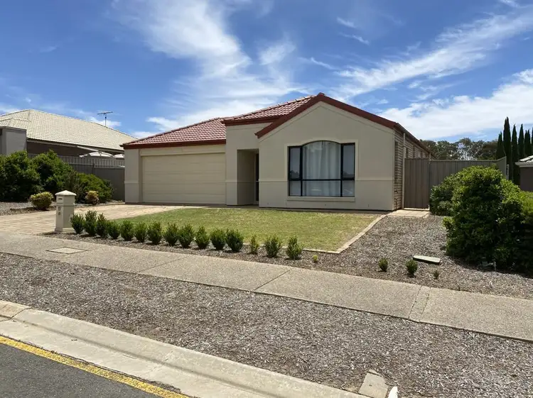 Main view of Homely house listing, 19 Parkview Drive, Murray Bridge SA 5253