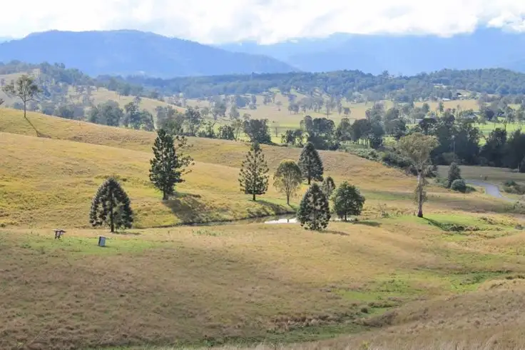 Main view of Homely rural property listing, LOT 31 Collins Creek Road - Collins Creek, Kyogle NSW 2474