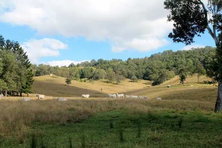 Fifth view of Homely rural property listing, LOT 31 Collins Creek Road - Collins Creek, Kyogle NSW 2474