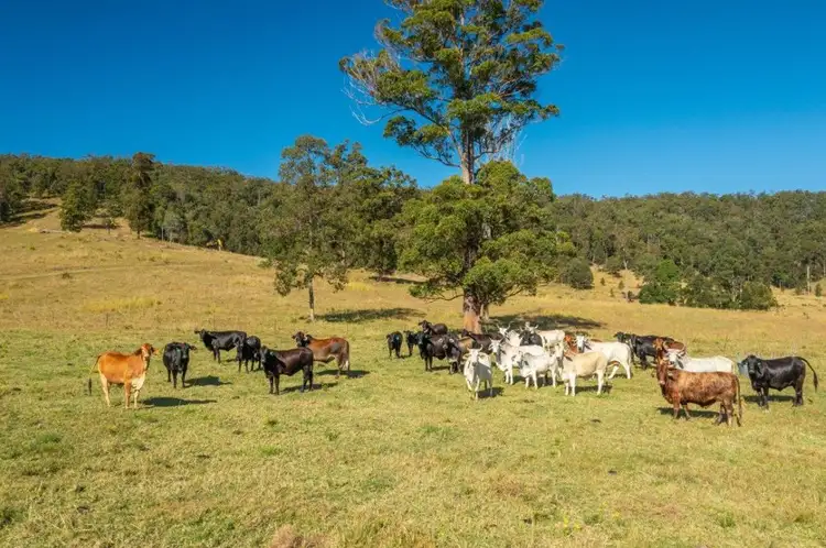 Second view of Homely rural property listing, 35 WALLABY DRIVE, Gum Scrub NSW 2441
