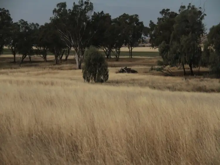 Third view of Homely rural property listing, 1435 Rushes Creek Road-, Manilla NSW 2346