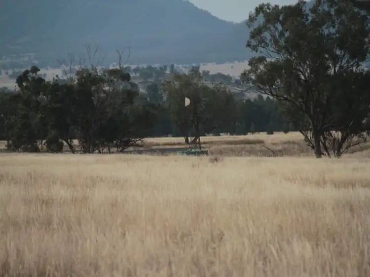 Fourth view of Homely rural property listing, 1435 Rushes Creek Road-, Manilla NSW 2346